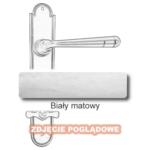 10 Biały matowy.webp