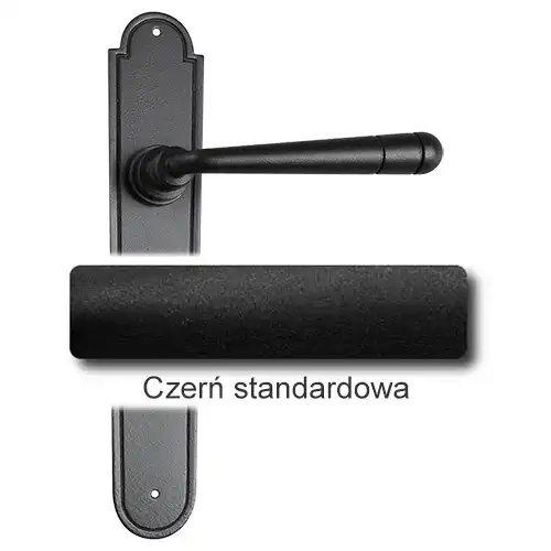 0 Czerń standardowa.webp