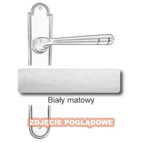 10 Biały matowy.webp