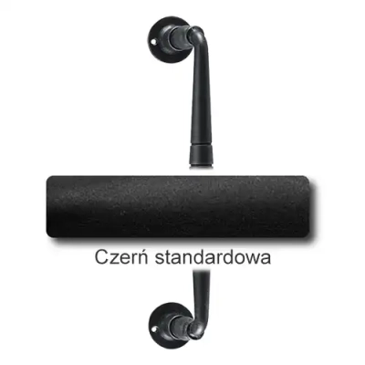 0 Czerń standardowa.webp