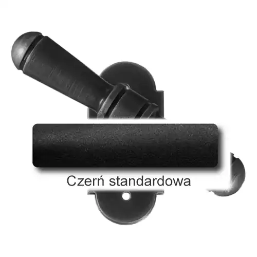 0 Czerń standardowa.webp