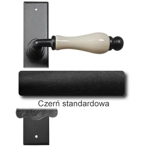 1 Czerń standardowa.webp