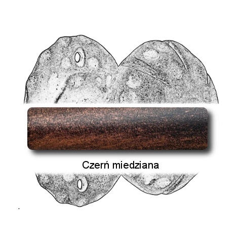 Czerń miedziana