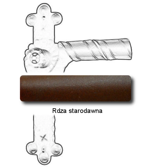 Rdza starodawna