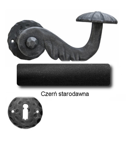 Czerń starodawna