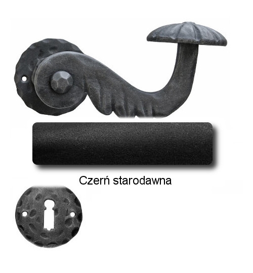 Czerń starodawna
