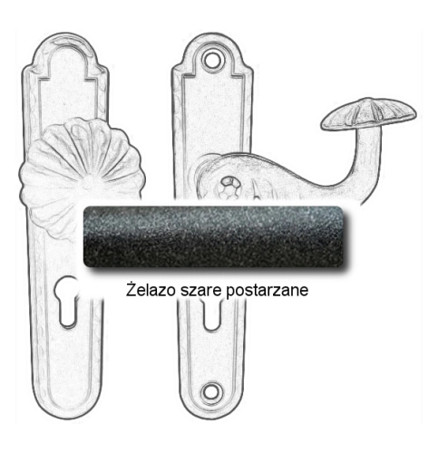 Żelazo szare postarzane