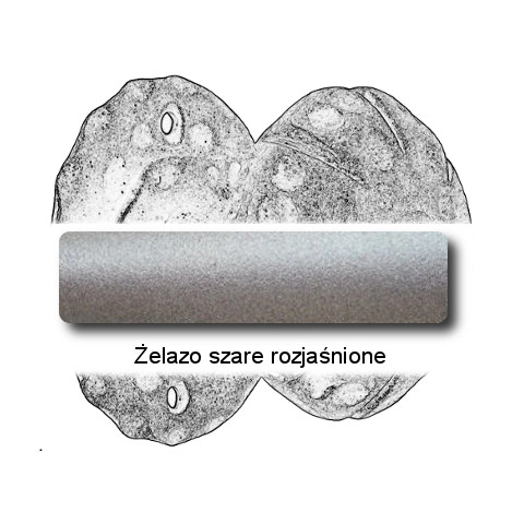 Żelazo szare rozjaśnione