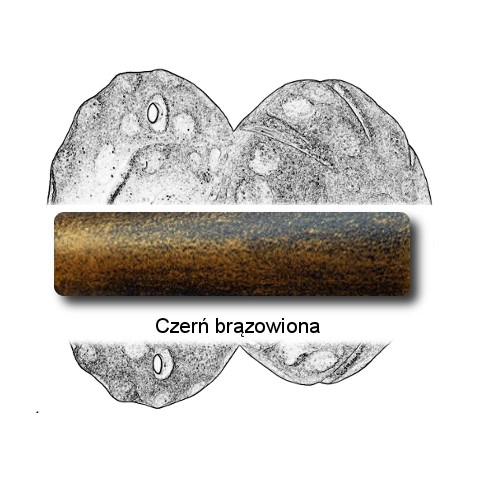 Czerń brązowiona