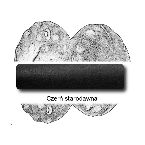 Czerń starodawna