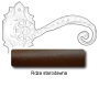 Rdza starodawna