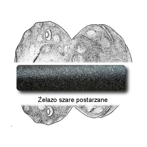 Żelazo szare postarzane