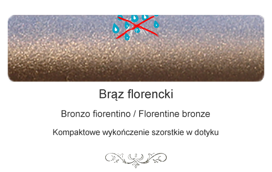 Brąz florencki